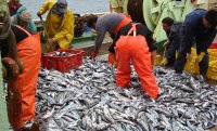 El Fondo de Investigación Pesquera y Acuicultura abre sus bases de licitación 2016
