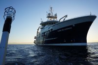 IFOP realiza crucero científico para evaluar la merluza del sur, de cola y la de tres aletas