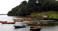 Subpesca llama a pescadores artesanales a participar en concursos nacionales FAP
