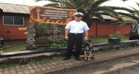 Gobernación Marítima de Isla de Pascua cuenta con su primer can antidrogas de la Armada