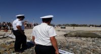 Armada protege a Elefante Marino que descansa en Bahía Inglesa