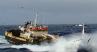 Embarcados de la flota de pesca industrial pasan a la ofensiva para defender sus intereses