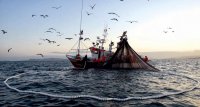 Parlamentarios discriminan a pescadores industriales y les confunde con empresarios