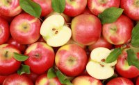 Guerra comercial afectará desplazamiento de mercado de manzanas chileno