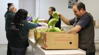 Sistema portuario de Valparaíso destaca alta coordinación para atender regreso de cargamentos de frutas tropicales