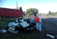 Puerto San Antonio retiró más de mil kilos de basura en nueva limpieza en sector sur de la ciudad