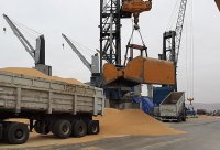 Puerto de Arica logra peak de almacenamiento de soya boliviana de exportación