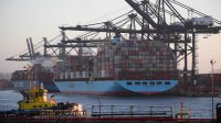 Auspicioso inicio de 2021 en Puerto San Antonio anticipa recuperación de la economía.