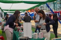 DP World San Antonio realiza 3º feria de beneficios con gran asistencia de familias y emprendedores DP World San Antonio realiza 3º feria de beneficios con gran asistencia de familias y emprendedores