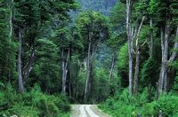 Rodolfo García refuta críticas de Douglas Tompkins por ampliación de Carretera Austral