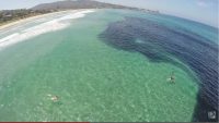 Esta escalofriante mancha negra en el mar no es lo que parece… ¡Asombroso!