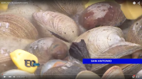 EOTV 519 09.08.2015 Puerto San Antonio mostró su alianza estratégica con el sector turístico y culinario y nos dejó con la boca abierta.