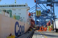 Con el buque “Ivory Dawn”, de la línea naviera Cool Carriers se inició la temporada de fruta en TPS