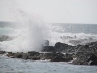 Grupo de Trabajo de EL Niño y variabilidad Climática (ENVAC) se reúne en IFOP para analizar la evolución de El Niño 2015/16.