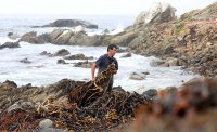 Un paso adelante para seguir potenciando el interés comercial y productivo del recurso algal en Chile