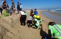 La Armada rescata a 3 turistas santiaguinos que estaban en peligro de morir ahogados en la playa Chépica de El Tabo.