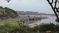 Puerto San Antonio apoyó cruzada del Día Internacional de la Limpieza de Playas