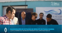 Informe Puerto Bahía Blanca con inauguración y actividades de la Estación de Rescate de Fauna Marina 