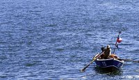 ¿Alguna vez se ha preguntado por qué el mar tiene ese olor?