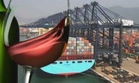 Guerra comercial abre oportunidad para los exportadores chilenos de vinos