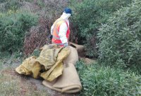 Puerto San Antonio retiró casi ocho toneladas de basura en la ciudad durante septiembre