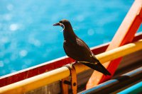 Puerto Mejillones es reconocido por el Programa HuellaChile del Ministerio del Medio Ambiente