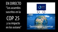 TRANSMISIÓN EN DIRECTO“LOS ACUERDOS SUSCRITOS EN LA COP 25 Y SU IMPACTO EN LOS OCÉANOS; REALIDADES Y DESAFÍOS ” Será expuesto por la Abogada PUCV Srta. Monserrat Madariaga Gómez de Cuenca,