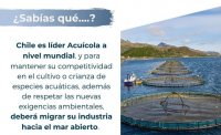 Chile es un país acuícola a nivel mundial pero enfrenta grandes desafíos para mantener su liderazgo.