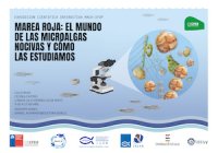 IFOP inaugura muestra científica interactiva en la comuna de Castro