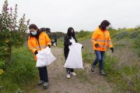 STI se une a Día Internacional de Limpieza de Playas con operativo en desembocadura del Maipo