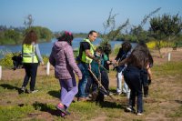 Estudiantes y vecinos de Lo Gallardo plantaron árboles nativos con el apoyo de Puerto San Antonio