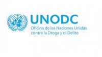 Puerto San Antonio detalló coordinación con Aduanas y policías para aumentar control de narcotráfico