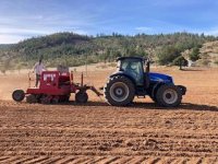 Expertos destacan los 10 puntos claves para el establecimiento exitoso de la alfalfa