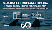 En el mes del Mar, Museo Fonck invita a conocer sobre tiburones y albatros en los “Viernes de Cultura Científica”