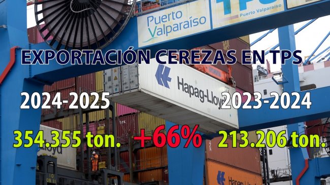 La temporada más exitosa de exportación de cerezas chilenas en su ...