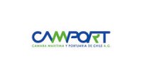 En 2024 las toneladas transferidas por los puertos chilenos disminuyeron 1,4% respecto a 2023, pero el valor de las ventas se mantuvo estable.