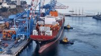 Cereza y uva lideraron transferencia de fruta a través de TPS en la temporada 2024-2025