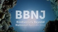 Valparaíso cuenta con mayoritario apoyo internacional para ser sede del Acuerdo Por la Conservación y el Uso Sostenible de la Biodiversidad Marina BBNJ.
