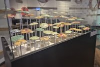Con su recalada en el Museo Marítimo Nacional la exposición "Veo Vidrio" cierra su itinerancia nacional