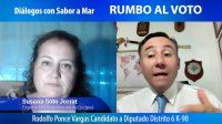 Susana Soto Jorrat, experta en situaciones medio ambientales de Quilpué.