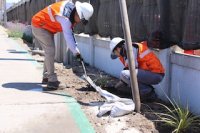 Ultraport y TPC implementan nuevos jardines secos al interior del Puerto de Coquimbo