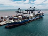 Temporada de cherry sigue en marcha: STI y Cosco reciben a importantes exportadores de fruta