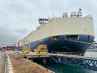 En su terminal multipropósito de San Antonio, DP World realiza la mayor descarga de vehículos en la historia de Chile, con 6.338 unidades