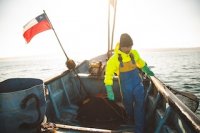 INDESPA cerró último año con inversión de $14.000 millones para la pesca artesanal y acuicultura de pequeña escala INDESPA cerró último año con inversión de $14.000 millones para la pesca artesanal y acuicultura de pequeña escala