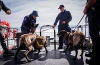 Aduana dicta segundo curso de formación de binomios caninos dirigido a efectivos de la Armada