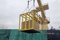 Puerto de Iquique recibe nuevo buque factoría para mercados de Europa y África