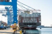 TPS atiende recalada inaugural de nave portacontenedores MSC Leila en Valparaíso TPS atiende recalada inaugural de nave portacontenedores MSC Leila en Valparaíso