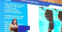 Investigadora de IFOP integra equipo científico cuyo artículo fue distinguido como National Champion de Australia en el Frontiers Planet Prize