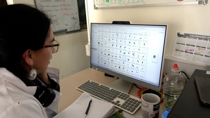 El laboratorio de zooplancton del Instituto de Fomento Pesquero, IFOP.