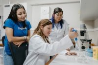 ULagos abrirá este 2027 la carrera de Biología Marina en Puerto Montt ULagos abrirá este 2027 la carrera de Biología Marina en Puerto Montt